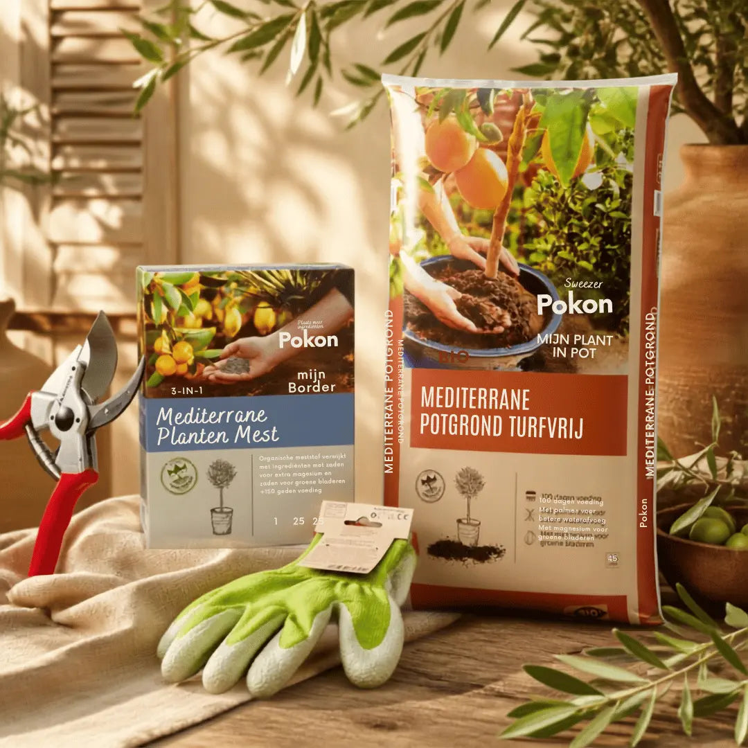 Bellota snoeischaar, Fair Zone tuinhandschoenen, Pokon Mediterrane Planten Mest en Pokon Bio Mediterrane Potgrond Turfvrij samen uitgestald op een houten tafel