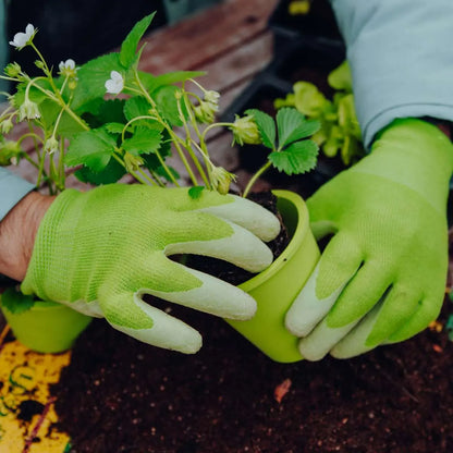 Handen met Fair Zone tuinhandschoenen die een aardbeienplant verpotten
